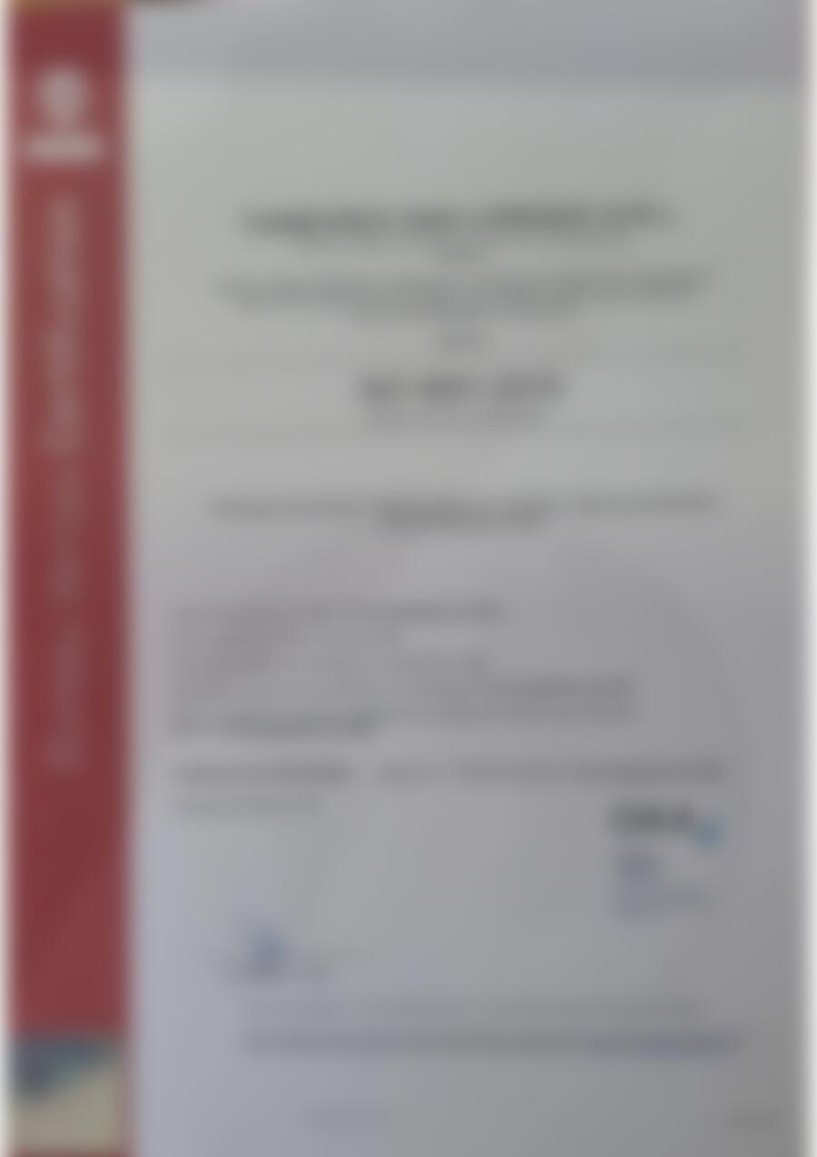 Certificado ISO 9001:2015 emitido por Bureau Veritas a Tambores San Lorenzo S.R.L. (vista previa)